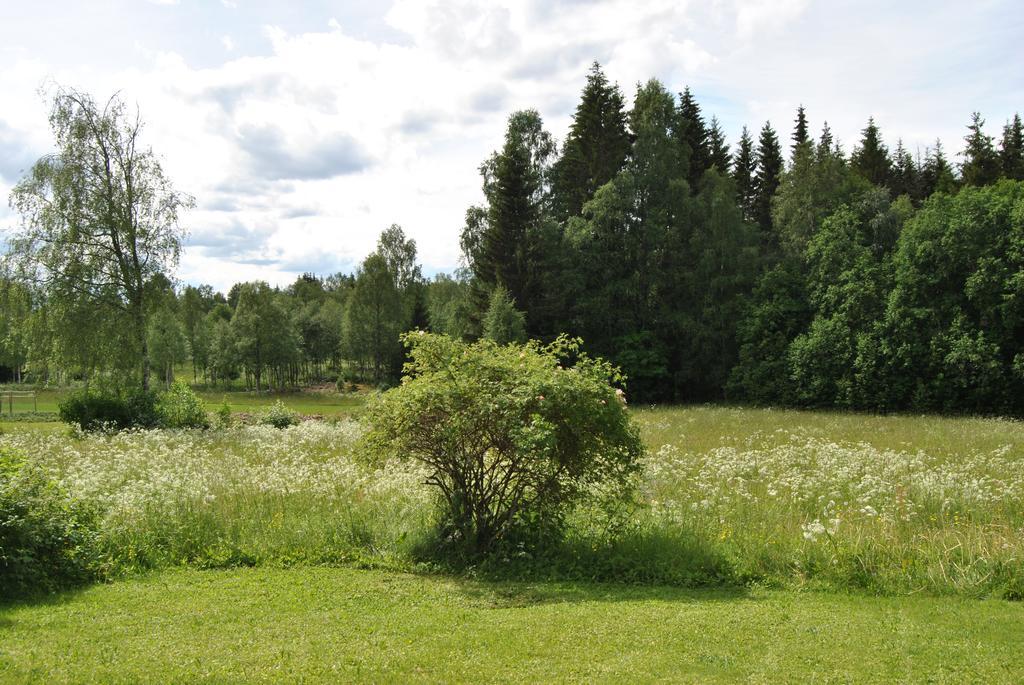 Orsastuguthyrning-Oljonsbyn Villa Екстериор снимка