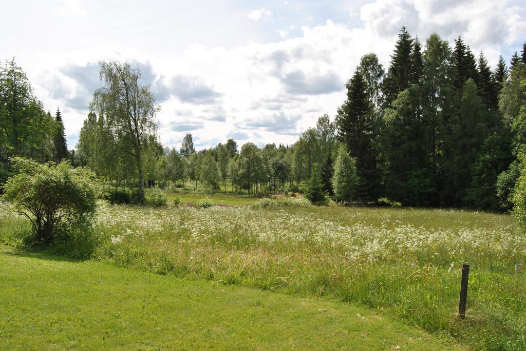Orsastuguthyrning-Oljonsbyn Villa Екстериор снимка